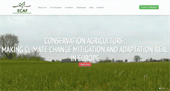 Desktop Screenshot of ecaf.org