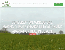 Tablet Screenshot of ecaf.org